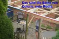 /album/bilder/dsci0158a-jpg/