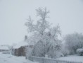 /album/fotogalerie/pict4804-jpg/